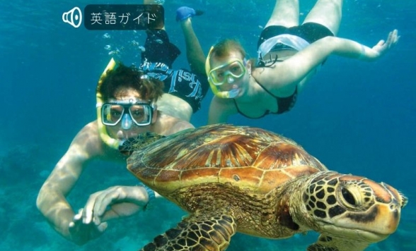 世界遺産グリーン島エコアドベンチャー