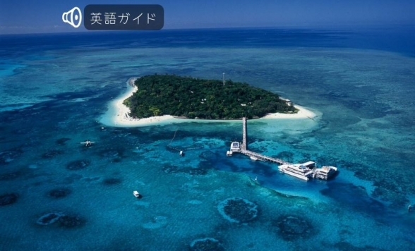 大人気！世界遺産グリーン島ディスカバリーツアー