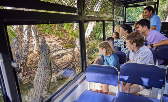 ケアンズ観光8時間 ＜専用車利用│日本語ガイドがお迎え＞