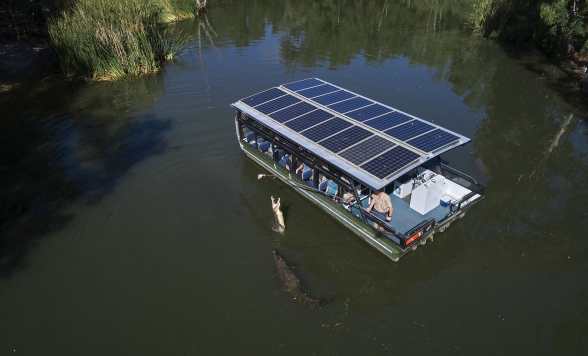 【送迎付き】ハートリース・クロコダイル・アドベンチャー