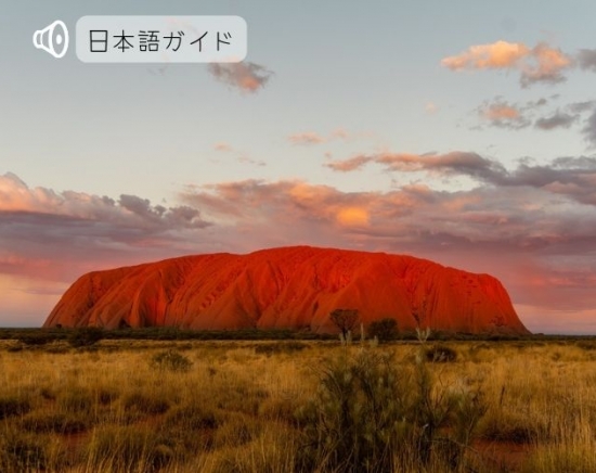 エアーズロック満喫観光パッケージ「ロックコネクション」