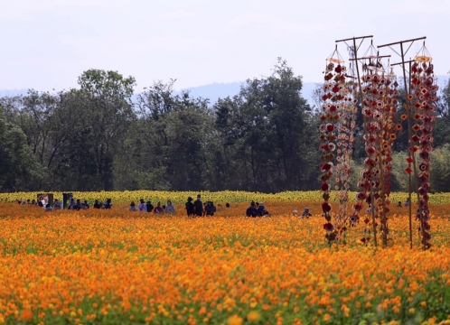 ジムトンプソンファーム