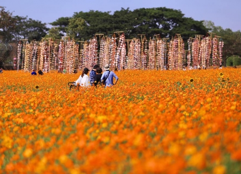 ジムトンプソンファーム