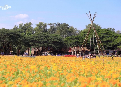 ジムトンプソンファーム