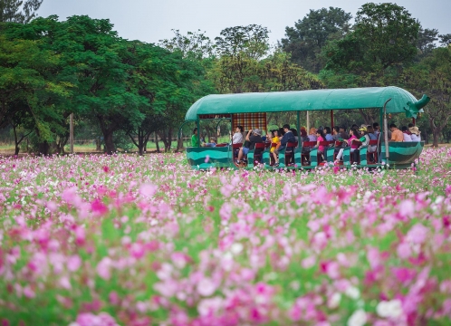 ジムトンプソンファーム