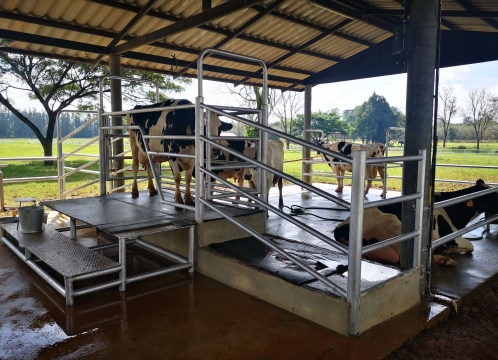 チョクチャイファーム