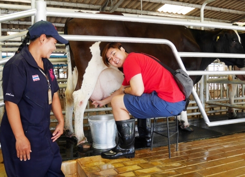 チョクチャイファーム