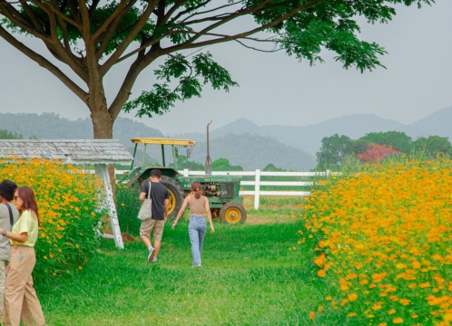 チョクチャイファーム