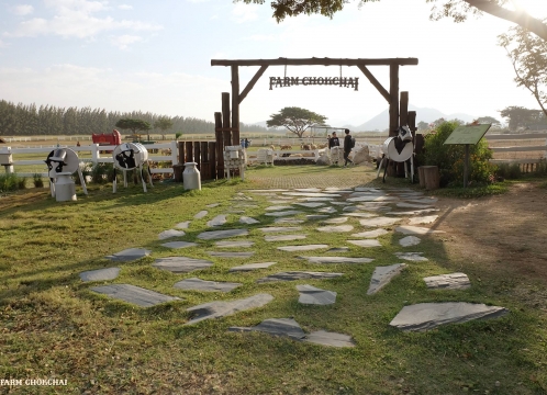 チョクチャイファーム