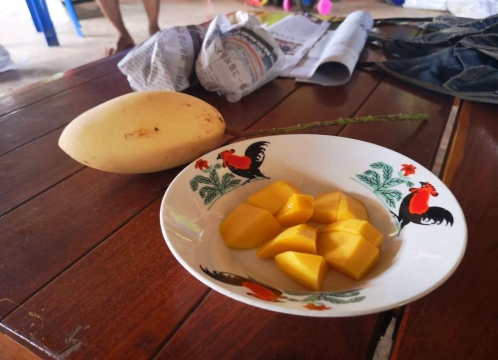 完熟マンゴー味見できます！