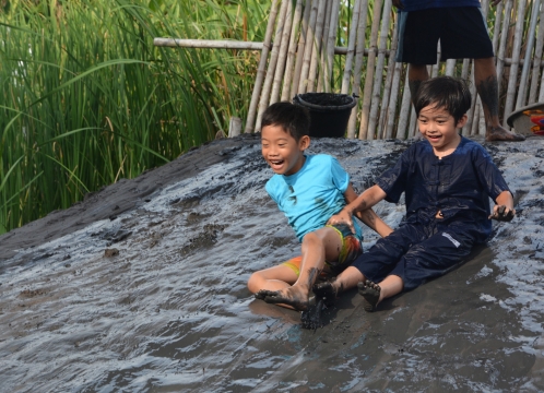 アクティビティ