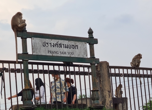 ロッブリーの街を車窓見学