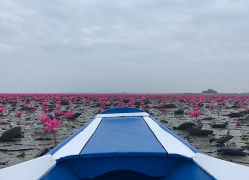 タレーブアデーン（赤い睡蓮の海）