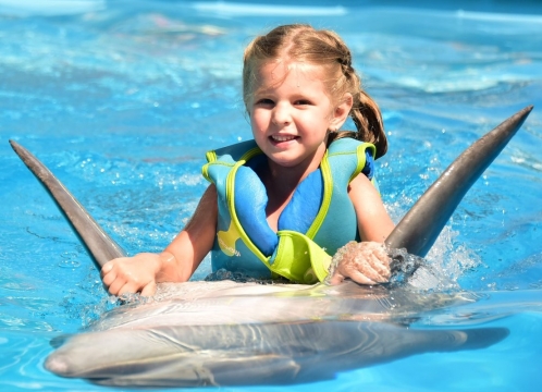 Dolphinarium_in_Pattaya