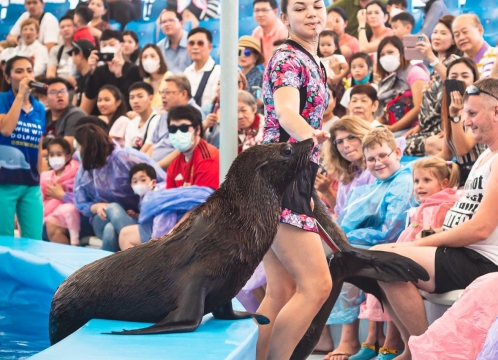Dolphinarium_in_Pattaya