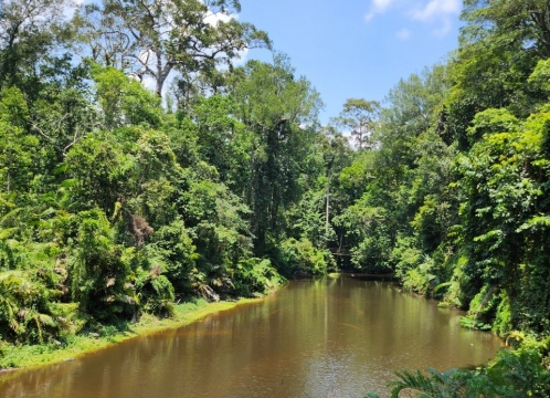 トレッキングコース