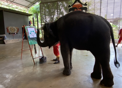 エレファントショー