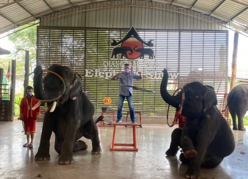 エレファントショー