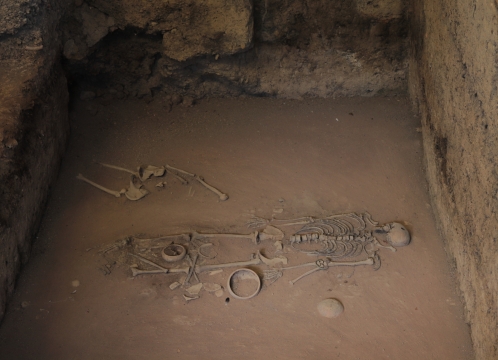 シーテープ歴史公園