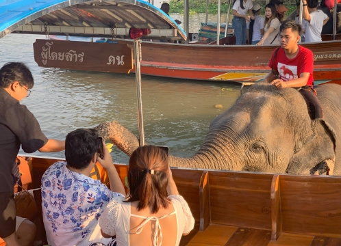 アユタヤ_象と触れ合い体験