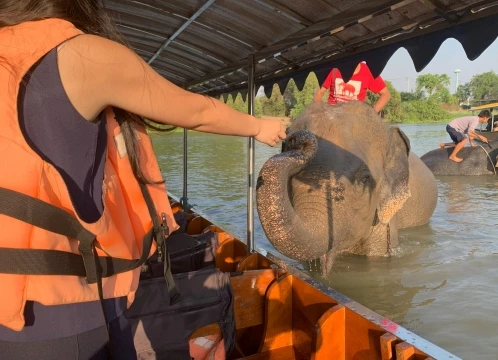 ボートに乗って象に会いに行こう！世界遺産アユタヤ遺跡半日観光