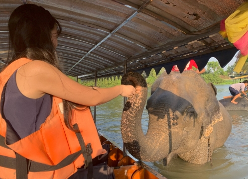 アユタヤ_象と触れ合い体験