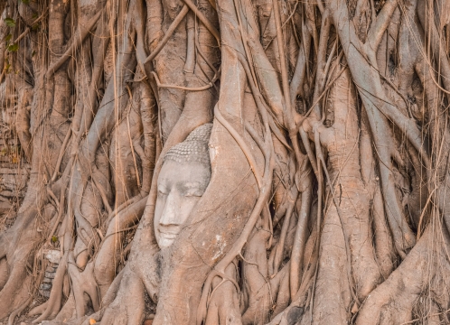 ワットマハタート