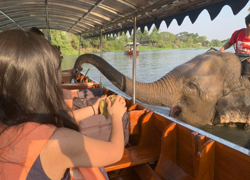 象と触れ合い体験