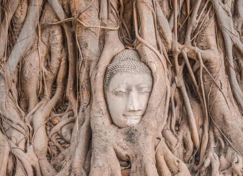 アユタヤ遺跡_ワットマハタート