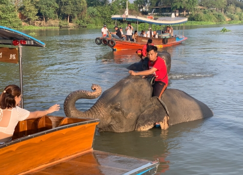 象と触れ合い体験