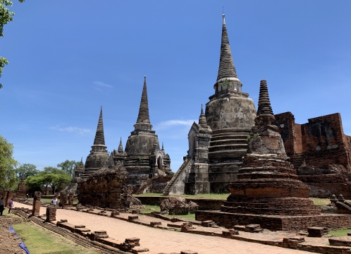 ワットプラシーサンペット