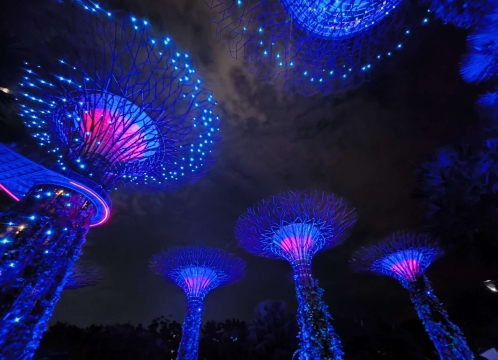 ガーデンズバイザベイで光と音が織りなす幻想的なショー_ガーデンラプソディ