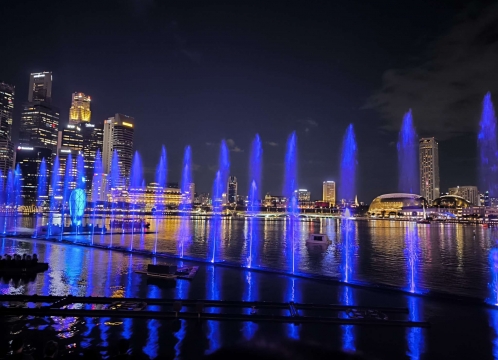 マリーナベイサンズライト&ウォーターショーSPECTRA_スペクトラ