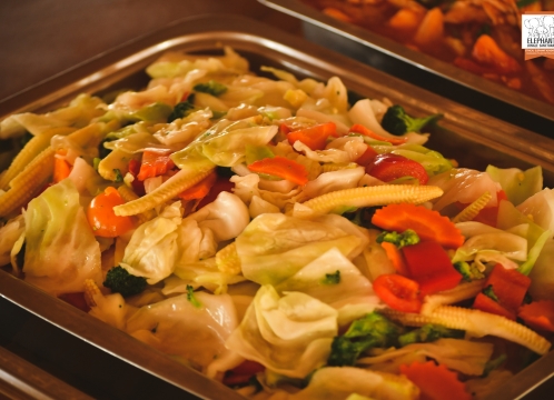 ディナービュッフェ(エレファントジャングルサンクチュアリ)