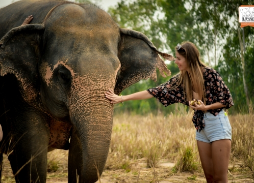 エレファントジャングルサンクチュアリ