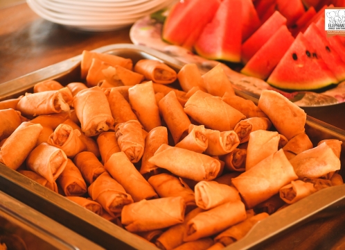 ディナービュッフェ(エレファントジャングルサンクチュアリ)