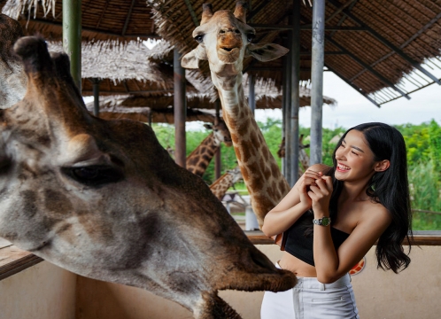 サファリワールド&マリンパーク