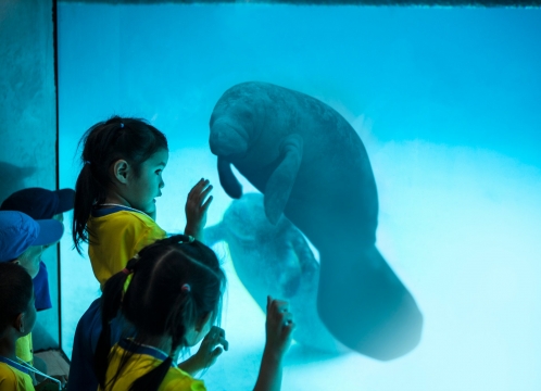 サファリワールド&マリンパーク