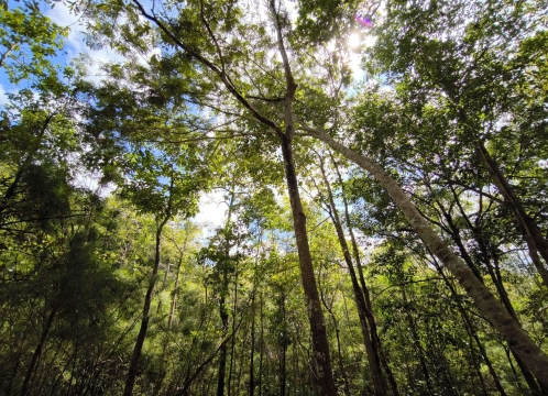 プープラバート歴史公園