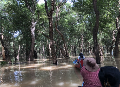 コンポンプルック