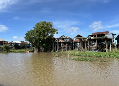 コンポンプルック