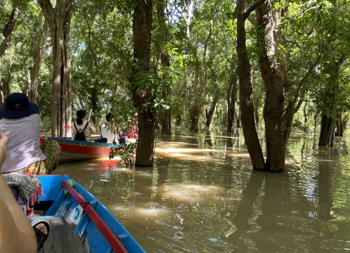 コンポンプルック