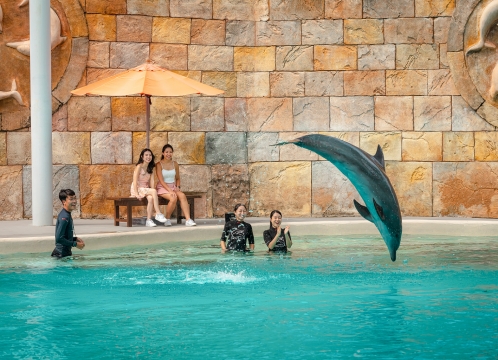 ドルフィンオブザーバー_付き添いの方