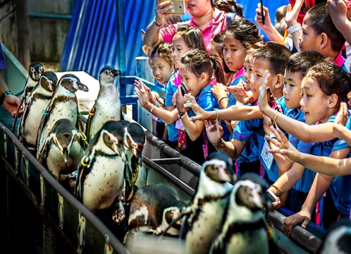 カオキアオ動物園