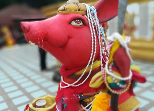 ワットサマーンラッタナーラーム敷地内