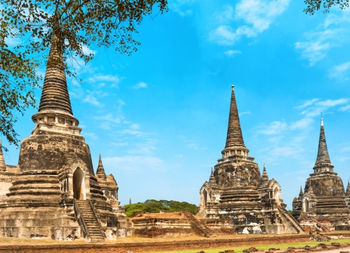 ワットプラシーサンペット