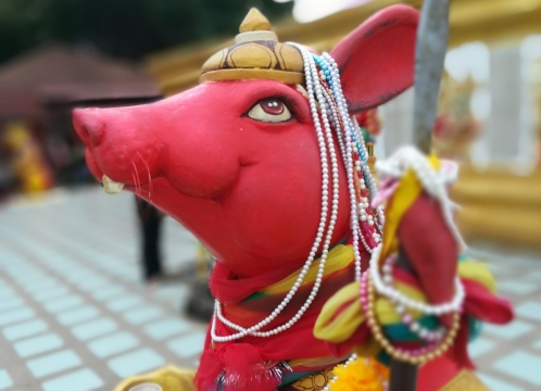 ワットサマーンラッタナーラーム敷地内