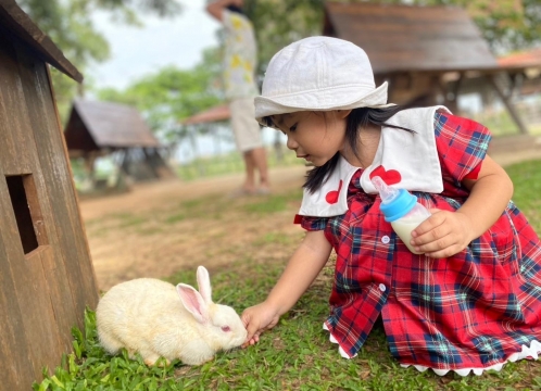 チョクチャイファーム