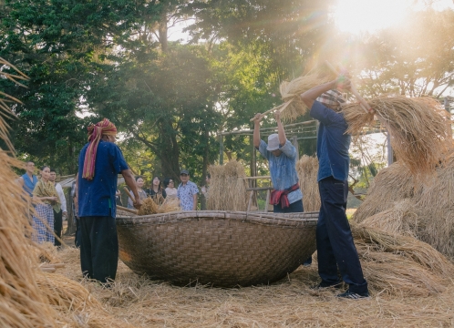 ジムトンプソンファーム