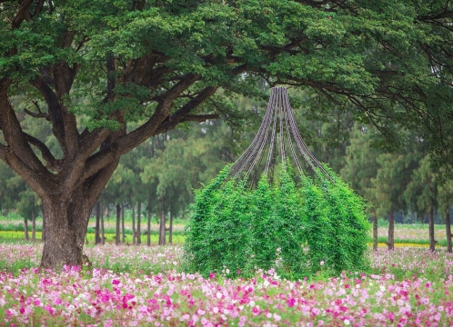 ジムトンプソンファーム